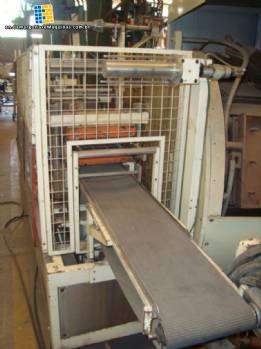 Termoformadora filling and sealing machine