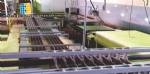 Automatic line for the production of softened cookies 2.000 kg