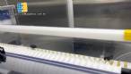 Rotary filling machine with sealer and depyrogenation and sterilization tunnel for injectable glass ampoules in 316L stainless steel Bausch with CFR 21