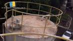 Tanks  jacketed for 20,000 liters