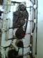 Drum stainless steel refiner