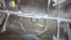 Paddle mixer 300 liters in stainless steel with spray Imarvil