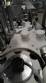 Rotary filling machine in stainless steel for liquids IMA F540 24,000 bottles per hour