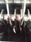 Stainless steel mill