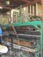 Dough Sheeter/Mold/Extruder