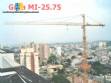 Mobile crane on rails