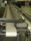 Conveyor belt