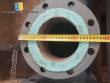 Netzsch helical positive pump
