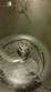 Geiger food processor