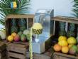 Automatic peeler for pineapple, mango and melon, 250 units per minute Astra