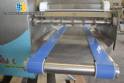 Cut and wire feeder Bralyx