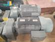Nemo Netzsch helical positive pumps
