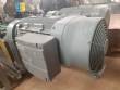 Nemo Netzsch helical positive pumps