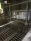 Seasoning injector for meat Sampafi