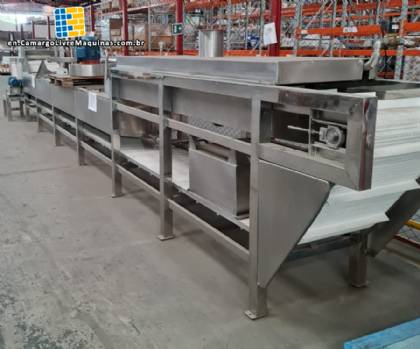 Continuous tunnel immersion pasteurizer for bottles and packaging - TECNINT