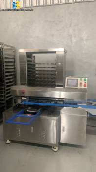 Biscuit organizer aligner on trays 200 units per minute
