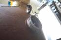 Steam ball pan Incal