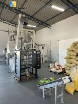 Line for the production of snacks Inbramaq 230 kg