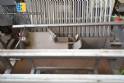 Stacker for wafer Otto Kremmling