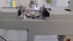 Pizza press with conveyor belt SaborMaq