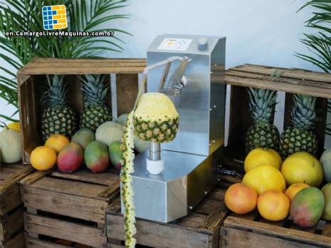 Automatic peeler for pineapple, mango and melon, 250 units per minute Astra Automatic peeler for pineapple, mango and melon, 250 units per minute Astra